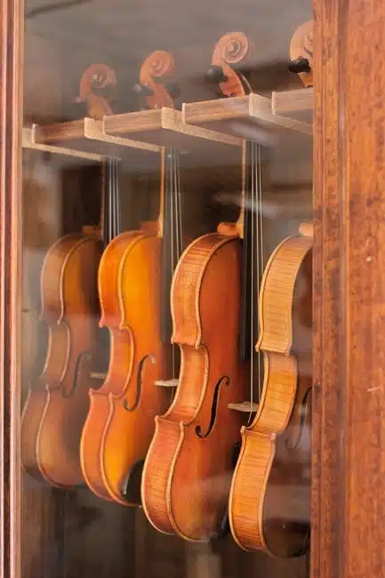 Violins in April 2015