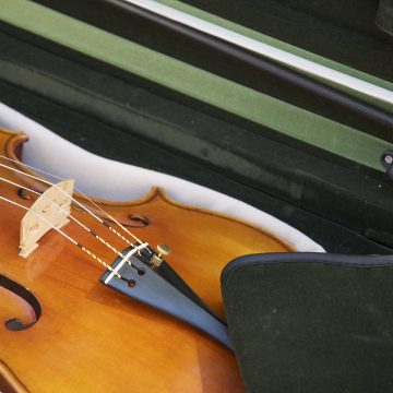 Choosing Your First Violin