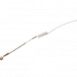 Warchal Amber strings - E string