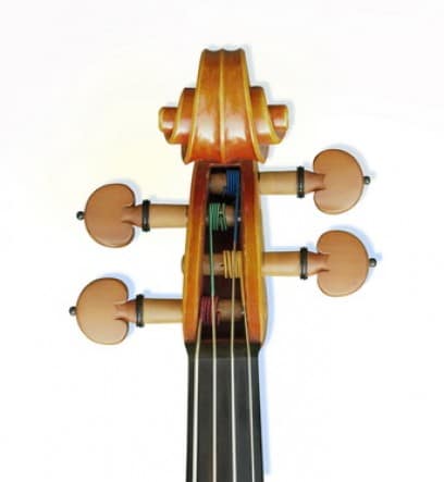 Warchal Amber strings - pegs