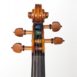 Warchal Brilliant Vintage strings - pegs