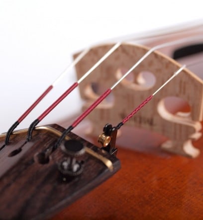 Warchal Karneol strings - tailpiece