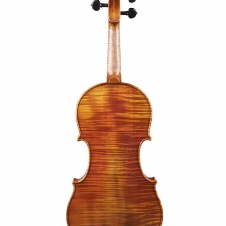 Passion-Tradition Maître violin - back