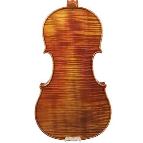 Passion-Tradition Maître violin - back (square)