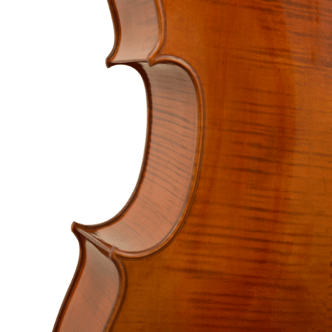 guan kaiming europe cello - ribs