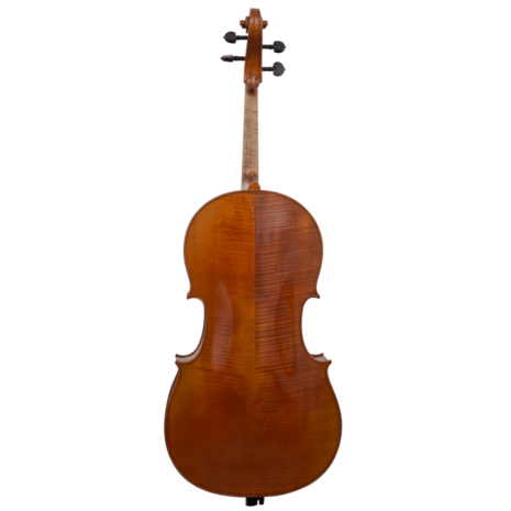 guan kaiming europe cello - back