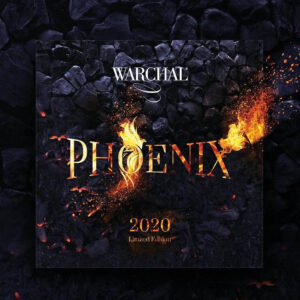 Warchal Phoenix violin strings