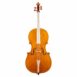 Passion-Tradition Mirecourt baroque cello - front view