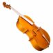 Passion-Tradition Mirecourt baroque cello - profile view