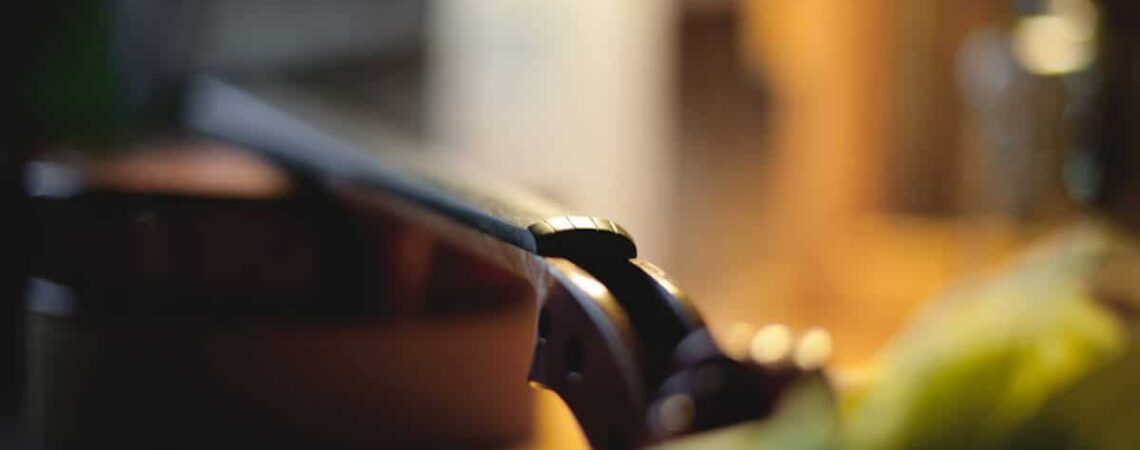 Antique violin appraisal