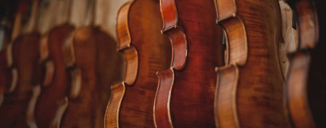 Expert opinion on a antique violin