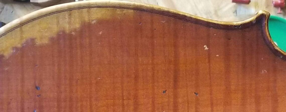 Cello expert opinion