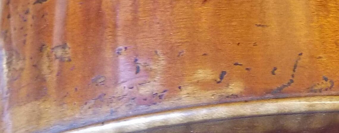 Antique cello expert opinion