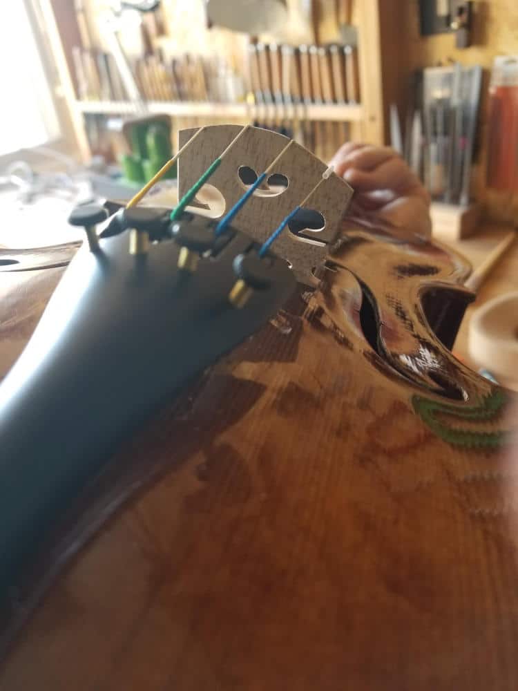 The best violin to start playing - tailpiece