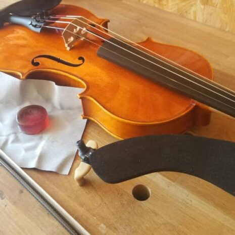 Rent a viola from a violin maker