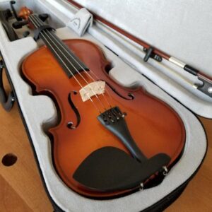The cheapest violin