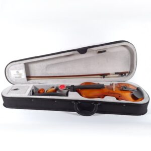 Complete violin practice set