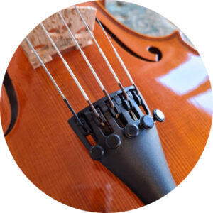 Five-strings violin strings