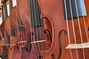 Best Violin Strings for Beginners