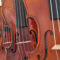 The best study strings for violin