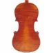 Violin by Alexandre LEFRANCOIS 4/4 - back
